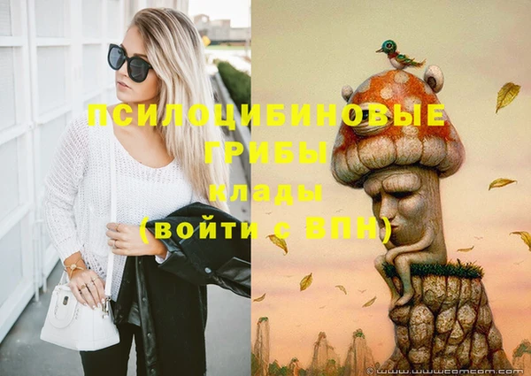 а пвп мука Бугульма