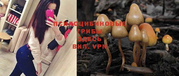 ешки Бородино