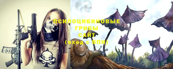 амф Сафоново