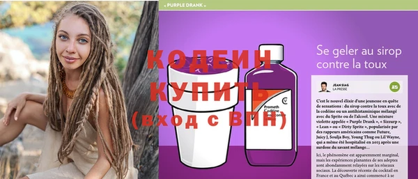 ешки Бородино