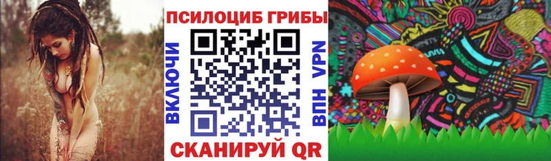 Галлюциногенные грибы Psilocybe  blacksprut   Гусь-Хрустальный 